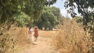 כפר פינס, שביל האלונים. מסלול הליכה קצר לעמדת ההגנה הוותיקה של היישוב