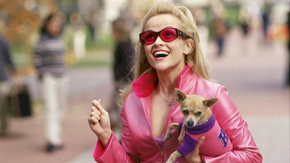 From 'Legally Blonde' (Photo: Courtesy of yes) מתוך "לא רק בלונדינית"