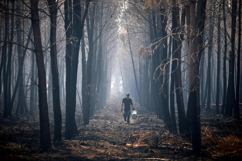 About 104,000 acres burned; destruction in southwestern France (Photo: REUTERS/Sarah Meyssonnier) שריפה מחוז ז'ירונד צרפת