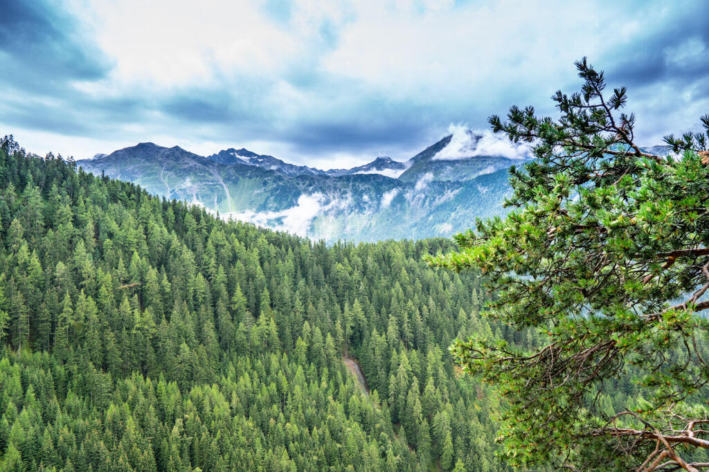 The spectacular view from Stuiben Falls (Photo: Hila Mor Alon) לגלות את חבל טירול