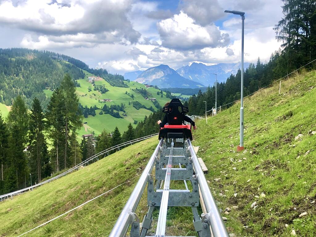 Alpine coaster (Photo: Hila Mor Alon) מזחלת הרים