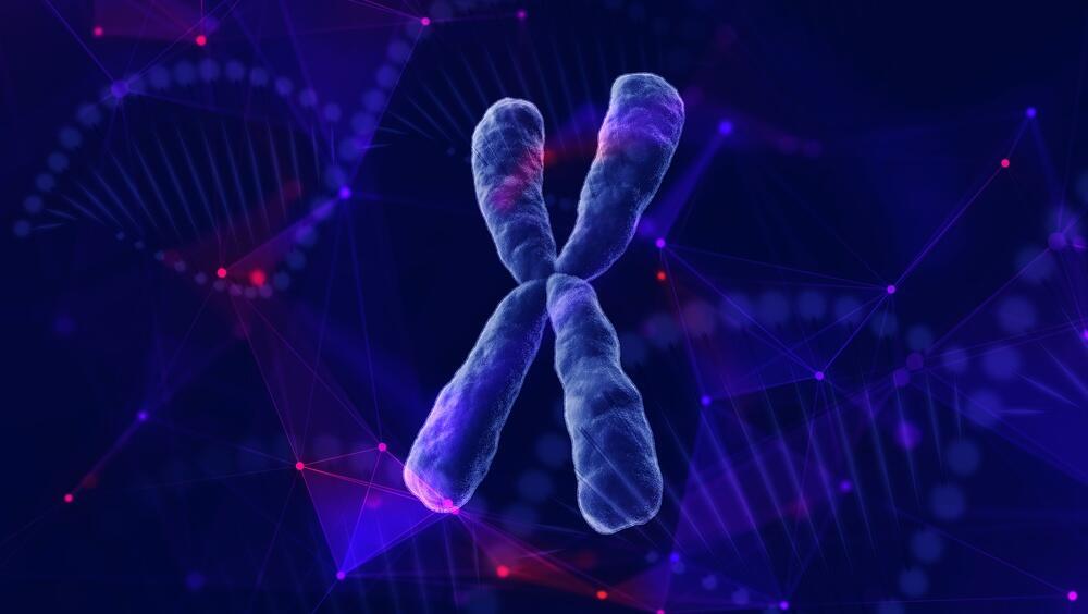 The study found that genetic background also influenced chromosome stability and tumor development (Photo: Shutterstock) כרומוזום