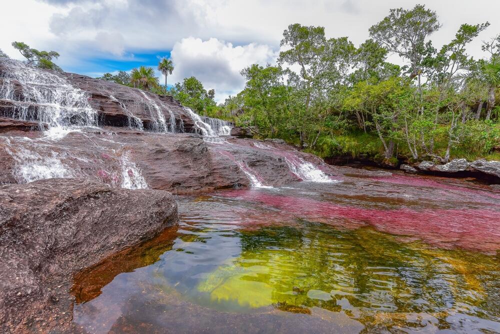 Photo: Hugo E. Rueda Ramirez / shutterstock נהר קאניו קריסטלס (Caño Cristales), המכונה "נהר שבעת הצבעים" או "הנהר היפה בעולם", בפארק הלאומי סיירה דה לה מקרנה, קולומביה