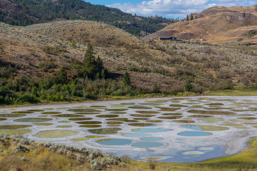Photo: Galyna Andrushko / shutterstock אגם ספוטד (Spotted Lake), קולומביה הבריטית, קנדה