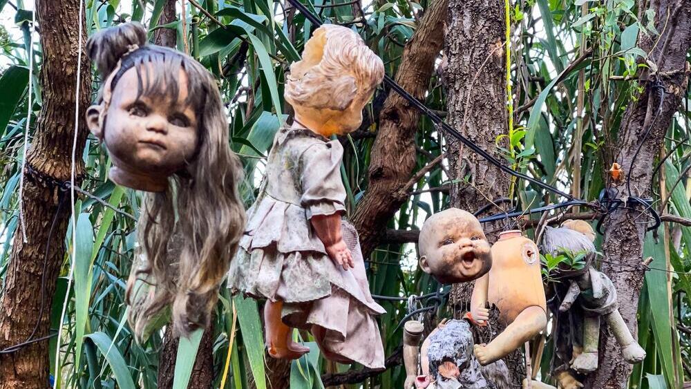 בובה באי הבובות (Island of the Dolls), האתר המזוהה עם סיפורו של דון חוליאן סנטנה בררה (Don Julián Santana Barrera), סמוך למקסיקו סיטי, מקסיקו
