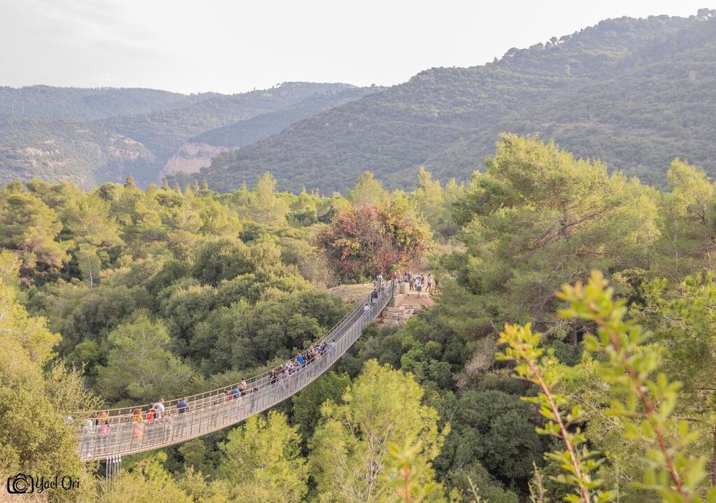 The suspension bridges in Nesher (Photo: Yael Ori) The suspension bridges in Nesher
