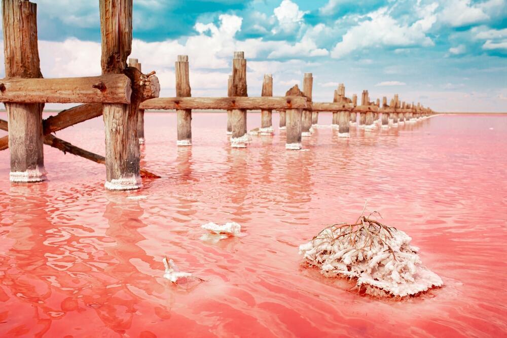 The pink lake (Photo: Vera Larina / shutterstock) אגם ורוד שנצבע בגוון ייחודי בעקבות אצות ורודות במי האגם המלוחים – תופעת טבע נדירה