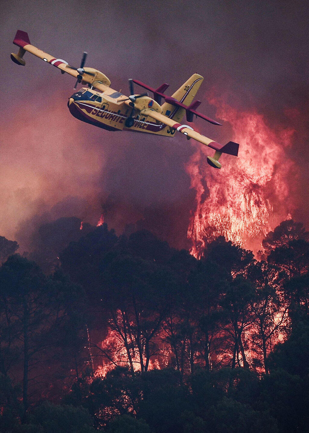 A wildfire rages in southwestern France (Photo: Thibaud Moritz/AFP) שריפת יער משתוללת בדרום-מערב צרפת