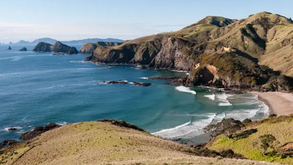 The Purerua Peninsula (Photo: Pest-free Purerua-Mataroa) חצי האי האי פוררואה
