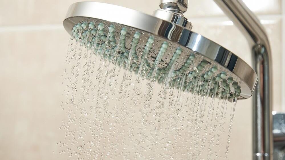 The tour guide’s shower, by contrast, was reasonably sized; illustration (Photo: Ivan Serebryannikov/Shutterstock) המקלחון של המדריך דווקא היה בגודל סביר. אילוסטרציה