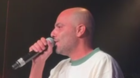 שיר לוי