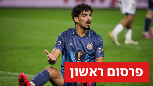 רוי רביבו