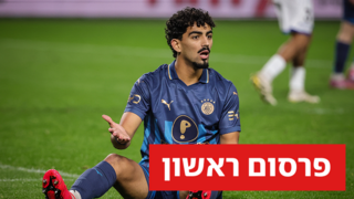 רוי רביבו