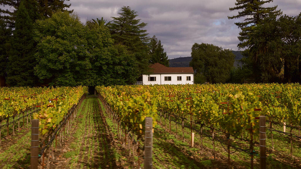 California wine country; the golden age is over (Photo: iampaese, Shutterstock) ארץ היין של קליפורניה. תור הזהב הסתיים