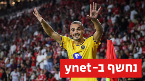 סייד אבו פרחי