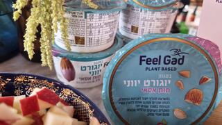 יוגורט יווני של Feel Gad 