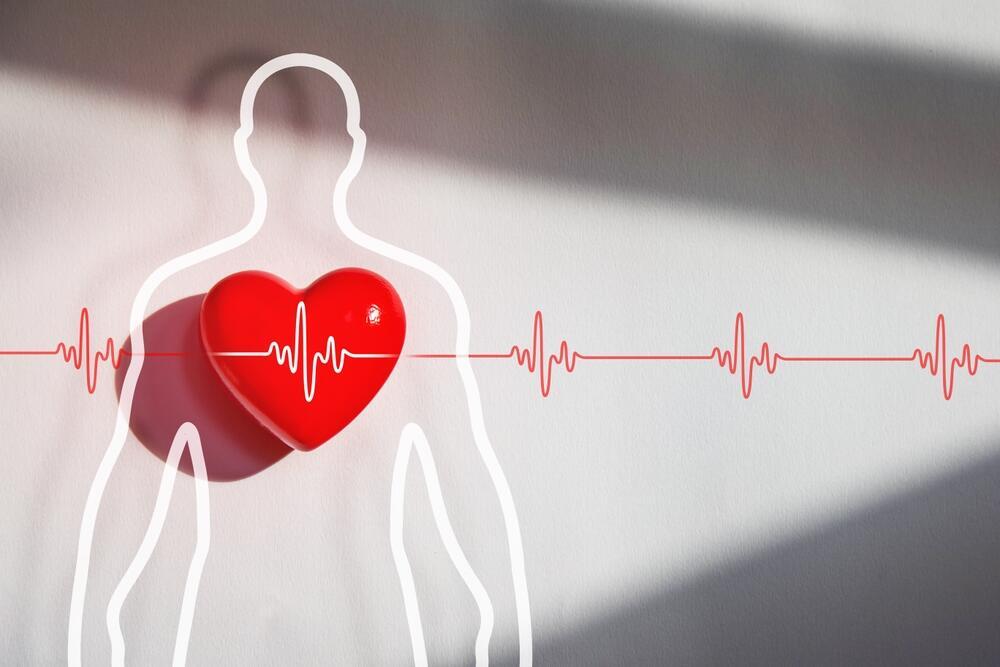 BMI has long been used as an independent predictor of cardiovascular disease (Photo: Shutterstock) מדידת קצב הלב