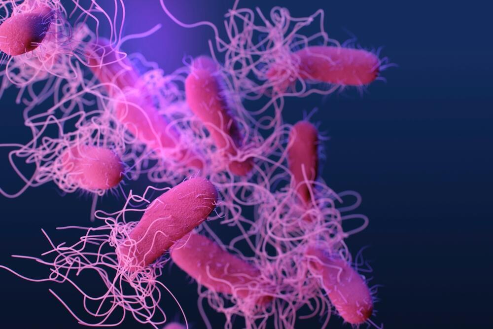Could AI one day defeat antibiotic-resistant bacteria? (Photo: shutterstock) חיידקים עמידים לאנטיביוטיקה