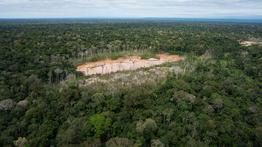 Deforestation due to illegal gold mining in the Tambopata National Reserve in Puerto Maldonado (Photo: Guadalupe Pardo/AP) בירוא יערות כתוצאה מכריית זהב בלתי חוקית בשמורת טמבופאטה הלאומית בפוארטו מלדונדו