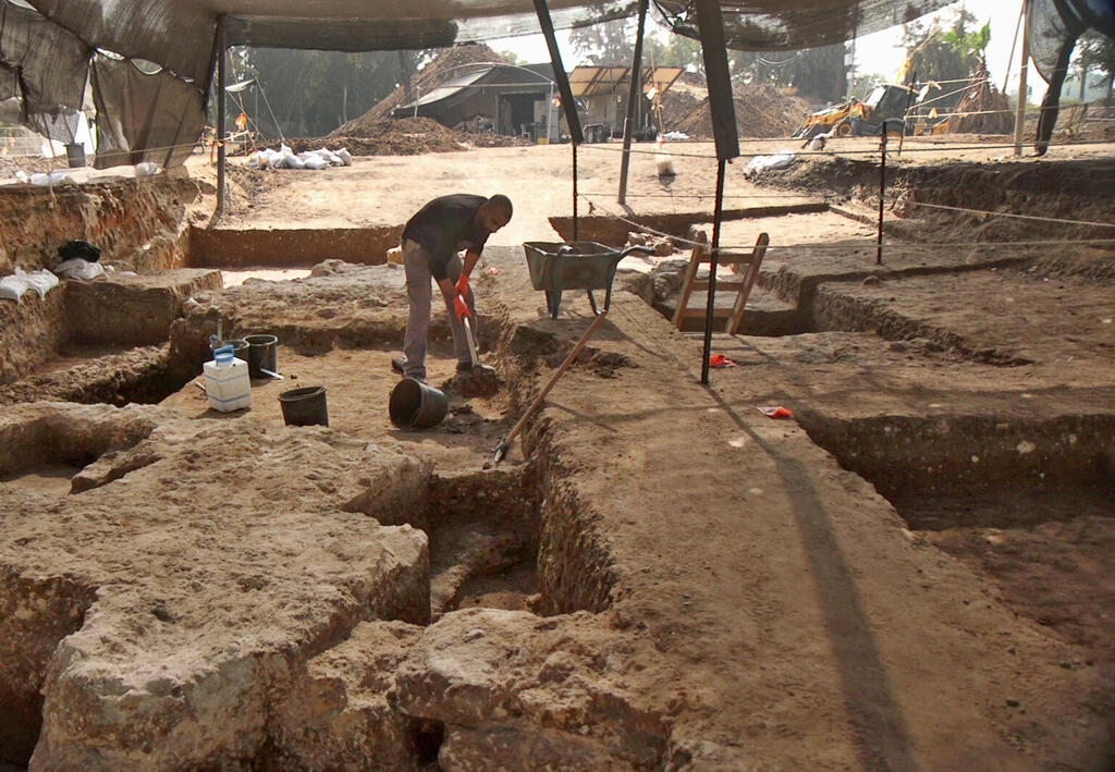 Lior Rauchberger, co-director of the Israel Antiquities Authority excavation (Photo: Emil Aladjem, Israel Antiquities Authority) החפירות צמוד לאצטדיון