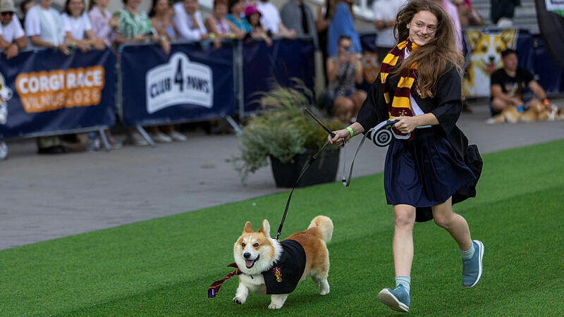 Even their owners got in on the act: Costumes from Harry Potter (Photo: Mindaugas Kulbis/AP) Even their owners got in on the act: Costumes from Harry Potter