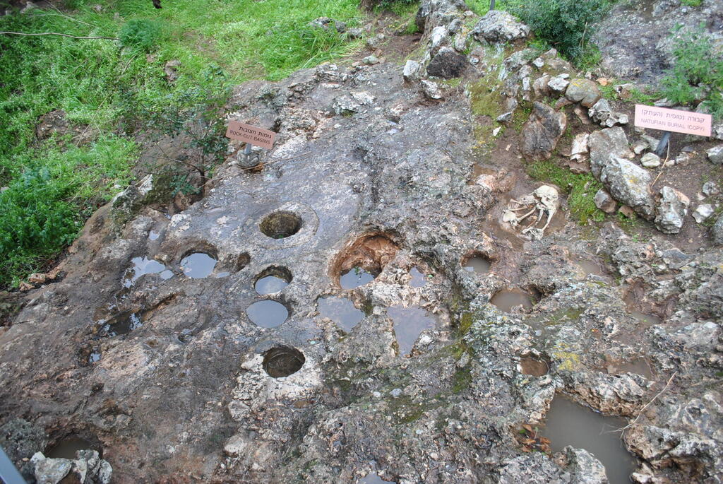 Remains from the Natufian culture at el-Wad Terrace: a retaining wall, rock-cut mortars and a replica burial (Photo: R. Yeshurun/Wikipedia) שרידים מהתרבות הנאטופית בטרסת מערת הנחל: קיר תמך, מכתשי סלע והעתק של קבורה