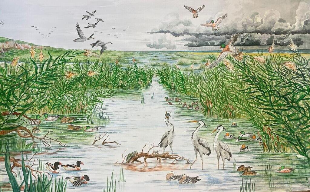 Artistic reconstruction of the Carmel coastal plain in winter during the Natufian period, looking south. El-Wad Cave lies at the foot of the Carmel cliff on the left, with the Mediterranean Sea on the right. The bird species shown were identified from bones found in the excavations (Illustrations: Dariya Lokshin-Gnezdilov/Wikipedia) שחזור אומנותי של מישור חוף הכרמל בחורף בתקופת התרבות הנטופית, מבט דרומה. מערת הנחל נמצאת לרגלי מצוק הכרמל מצד שמאל, והים התיכון נראה בצד ימין. מיני העופות בציור הם אלה שזוהו לפי העצמות שנמצאו בחפירות