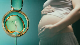 IVF