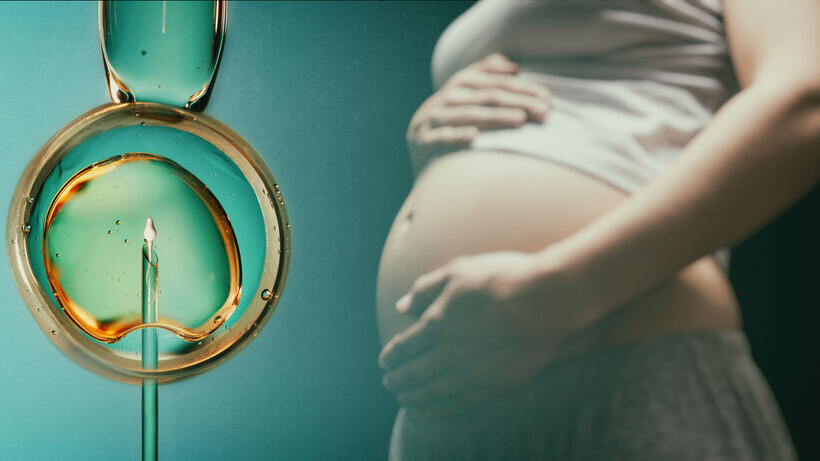 At least 30 children were apparently born after fertility treatments used donors other than those chosen by their parents (Photo: Shutterstock) IVF