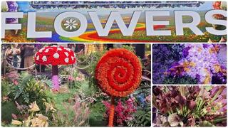 На выставке Flowers 