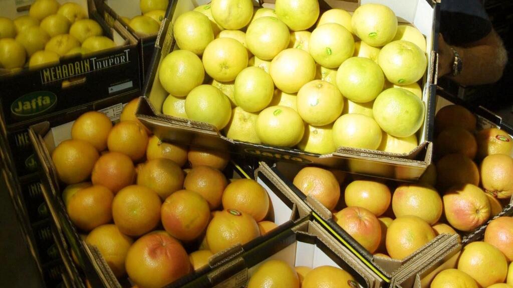 Citrus fruit for export (Photo: Hagai Aharon) פירות הדר ליצוא