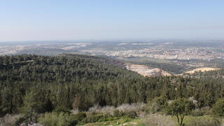 השטחים הפתוחים באזור בית שמש