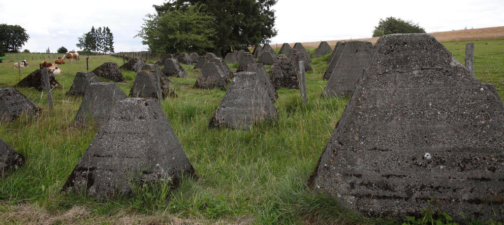 Anti-tank obstacles, known as 'dragon’s teeth,' stretch across a field near the Siegfried Line on the Belgium-Germany border (Photo: AP Photo/Virginia Mayo, File) אירופה פצצות מלחמת העולם השנייה מכשולים נגד טנקים "שיני דרקון" חוצים שדה ליד קו זיגפריד גבול בלגיה גרמניה
