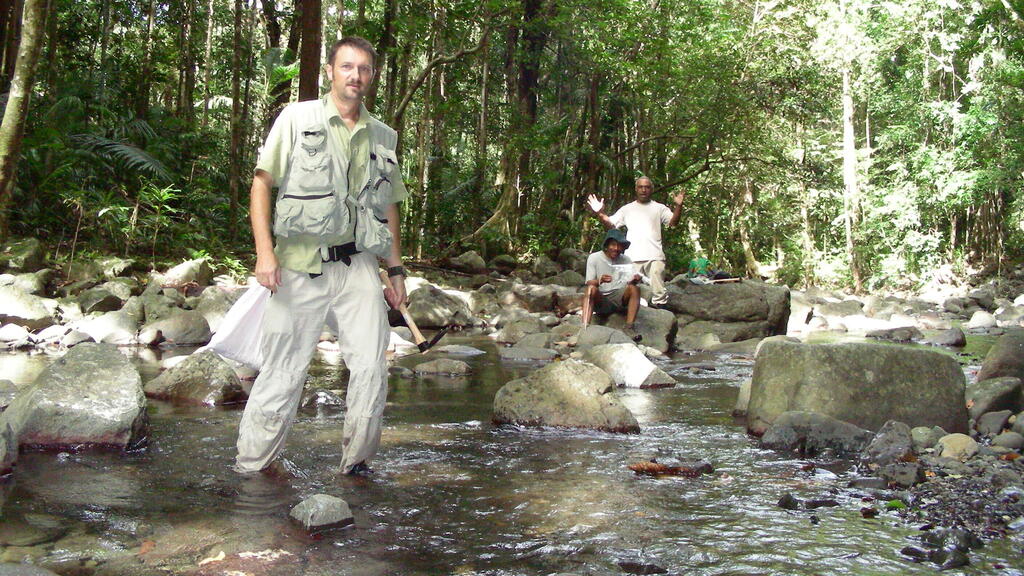 Professor Chris Austin conducting field research in New Guinea (Photo: Chris Austin) פרופ' כריס אוסטין (משמאל) ביערות פפואה גינאה החדשה