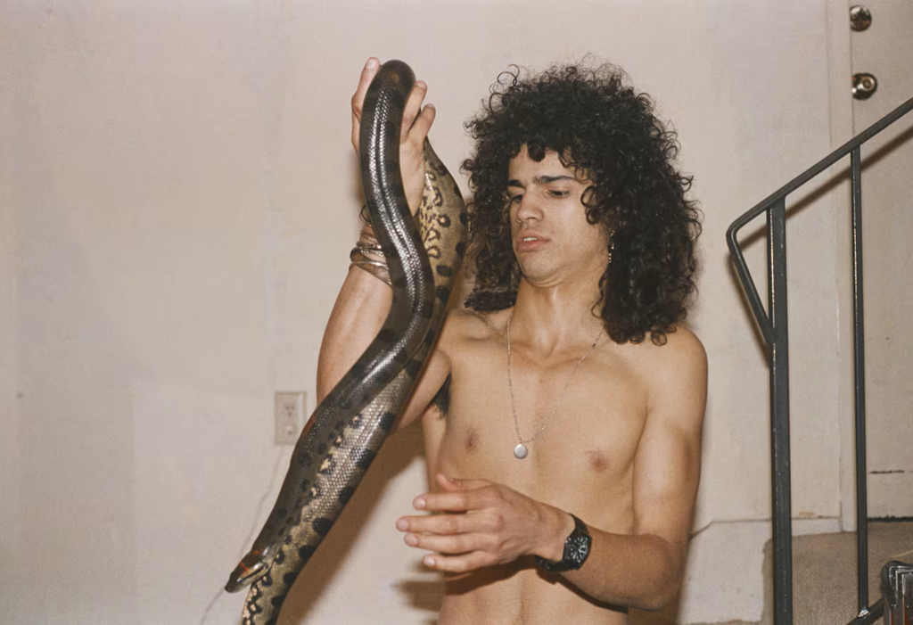 photo from 1984, showing Slash holding a Reticulated Python (Photo: Marc S Canter/Michael Ochs Archives/Getty Images) תמונה משנת 1984, בה נראה סלאש אוחז בנחש פיתון מרושת