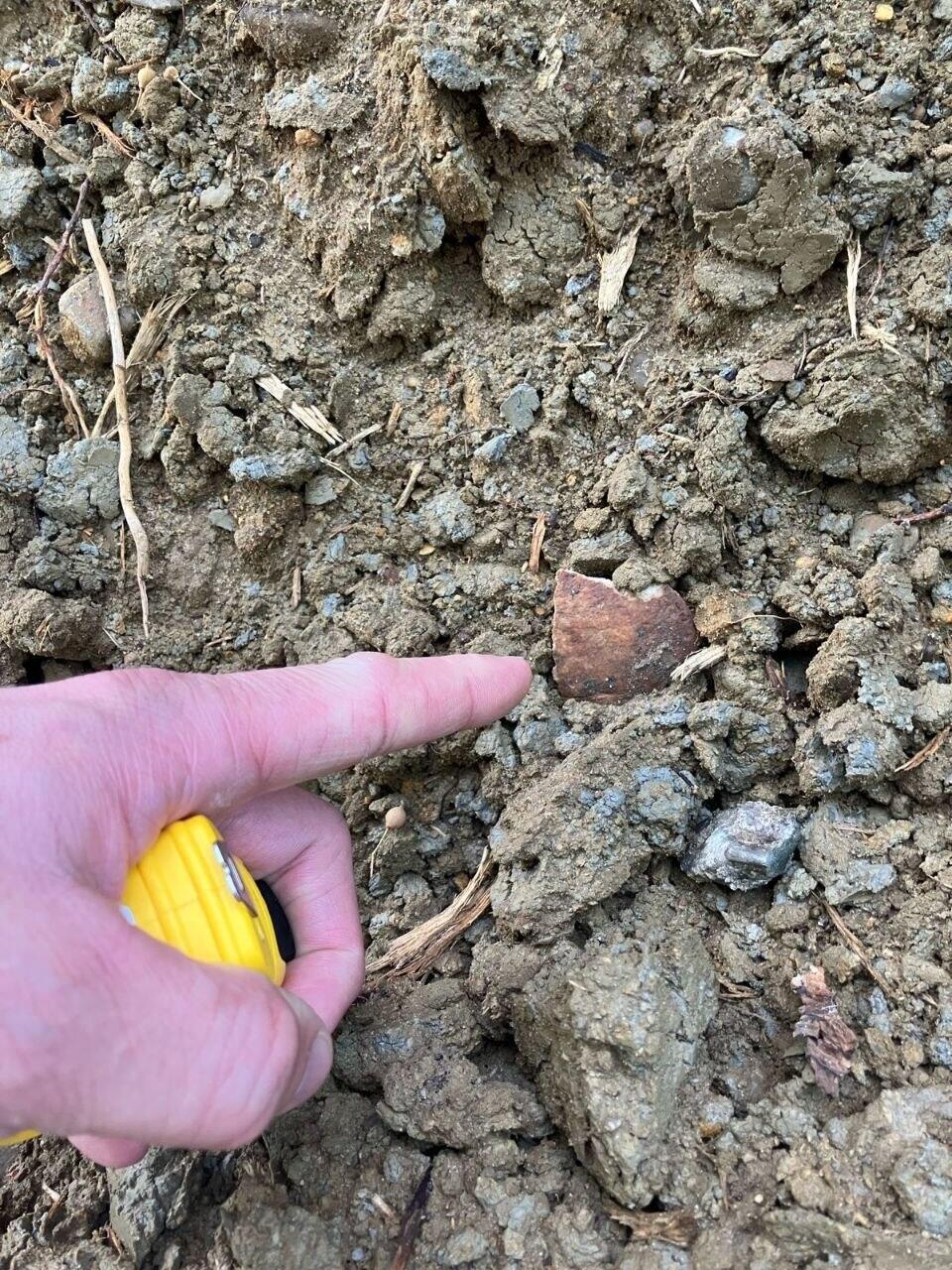 Bones were scattered throughout the site (Photo: J-nerations) עצמות התפזרו לכל עבר