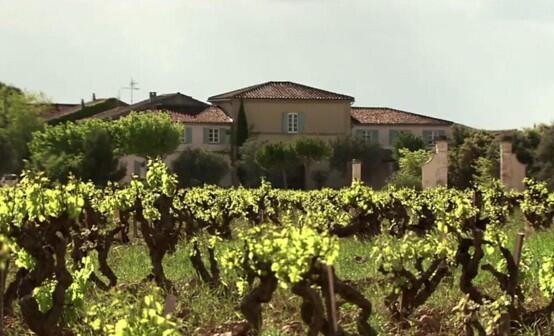 Luberon vineyard in the Rhône Valley, France, whose grapes are used to produce La Vieille Ferme. If the wine were kosher, its price would be about 10% higher (Photo: Famille Perrin) Luberon vineyard in the Rhône Valley, France