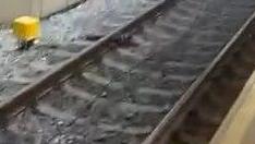 פיצוצים ובהלה בתחנת הרכבת נתב"ג: "האסון עוד יגיע"