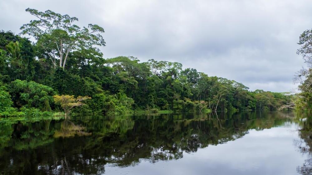 The Amazon River in Peru (Photo: Nowaczyk / Shutterstock) נהר האמזונאס בפרו