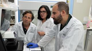חוקרים מישראל חשפו מנגנון שעלול להוביל לקרוהן