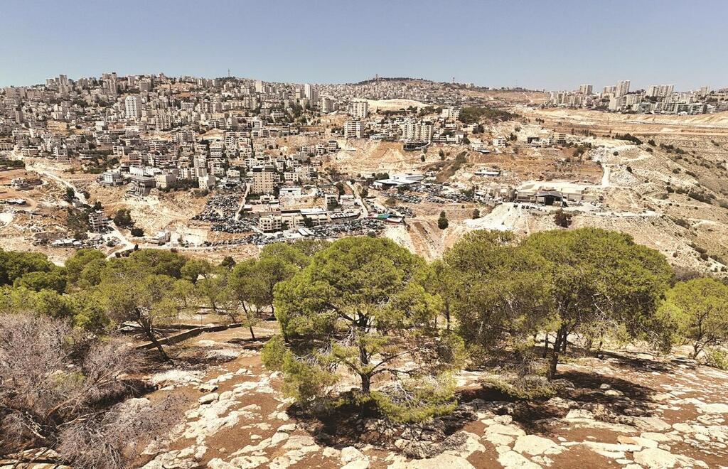 Area E1 in the West Bank (Photo: Shaul Golan) אזור E1
