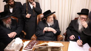 פגישת הרבנים מחסידות ברסלב