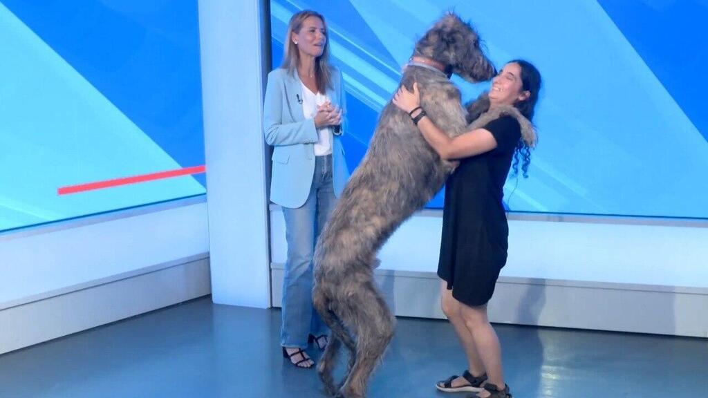 Keren Rosenthal and Paddington with Sharon Kidon at the ynet studio (Photo: Keren Rosenthal) קרן רוזנטל ופדינגטון באולפן ynet יחד עם שרון כידון