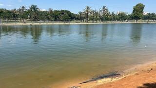 חיפושים אחר ילד באגם בפארק דרום בתל אביב