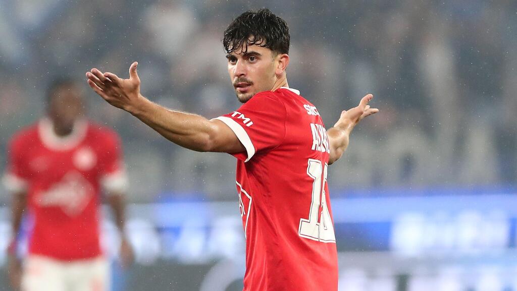 אלקוקין