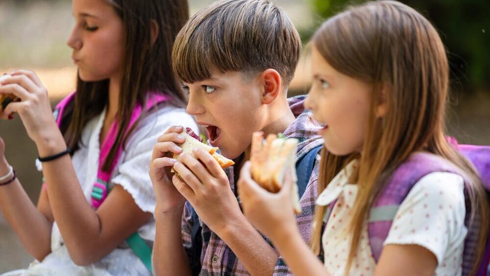 Фото: shutterstock