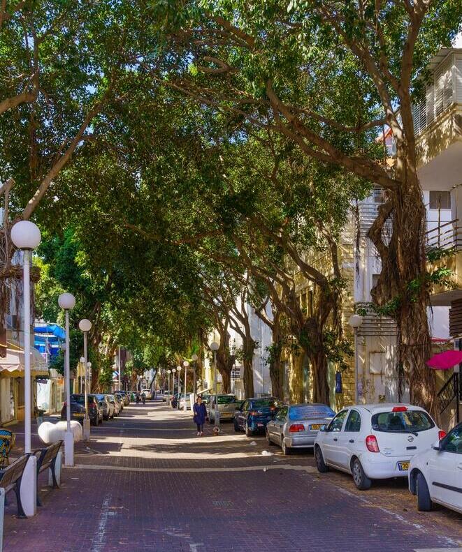 Хайфа, улица Нордау в районе Адар (Фото: RnDmS/shutterstock) Хайфа