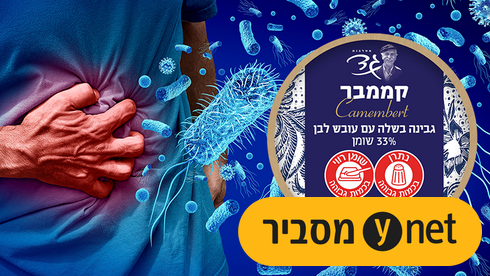 חיידק ליסטריה בגבינת קממבר של מחלבות גד
