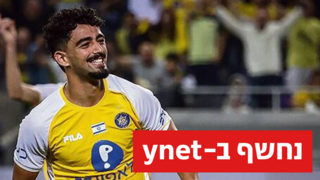 רוי רביבו