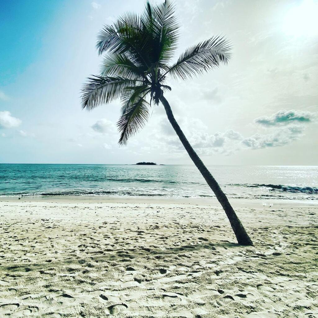Photo: Courtesy of Adam Jano Beach Number 2